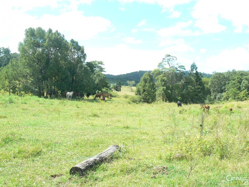 179 Henson Road, Wyrallah NSW 2480