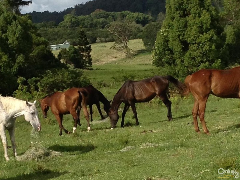 179 Hensons Road, Wyrallah NSW 2480