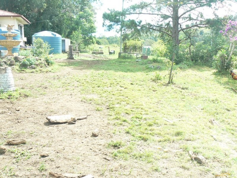 179 Hensons Road, Wyrallah NSW 2480