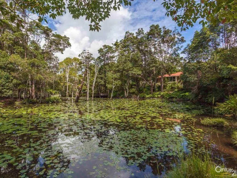 67 Platypus Drive, Uralba NSW 2477