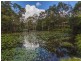 67 Platypus Drive, Uralba NSW 2477