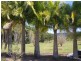 500 Pimlico Road, Pimlico NSW 2478