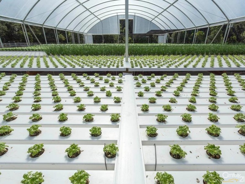 38 Faulkner Road, Lismore NSW 2480