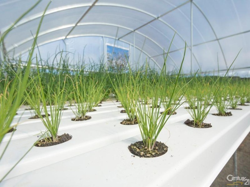 38 Faulkner Road, Lismore NSW 2480