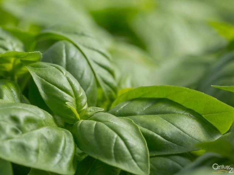 38 Faulkner Road, Lismore NSW 2480