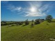 3328 Bentley Road, Cedar Point NSW 2474