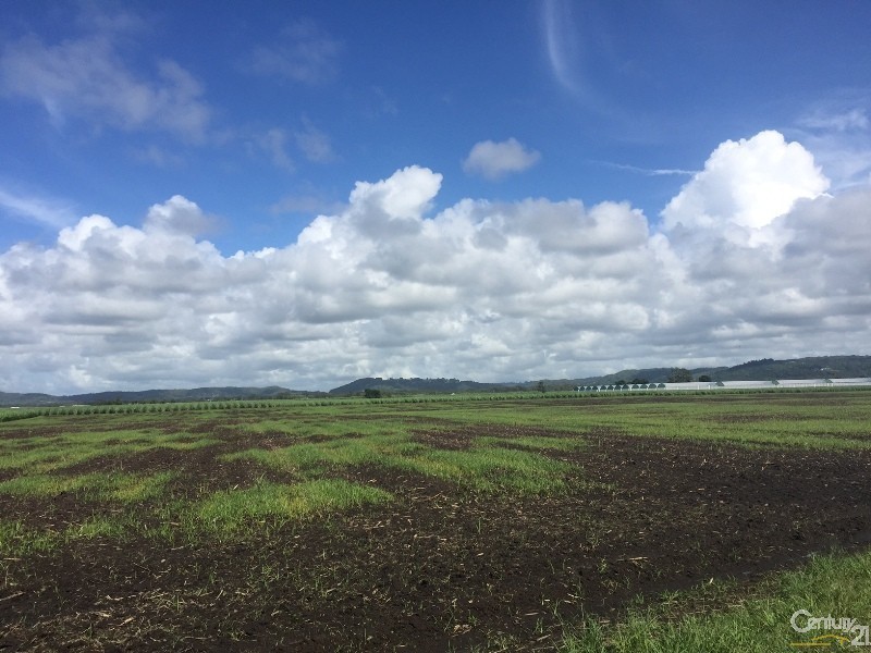 10 Sneesbys Lane, East Wardell NSW 2477