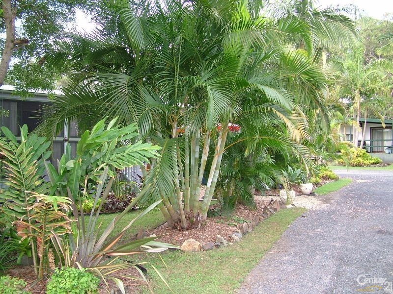 12 978 Pimlico Road, Wardell NSW 2477