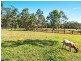 590 Bagotville Road, Meerschaum Vale NSW 2477