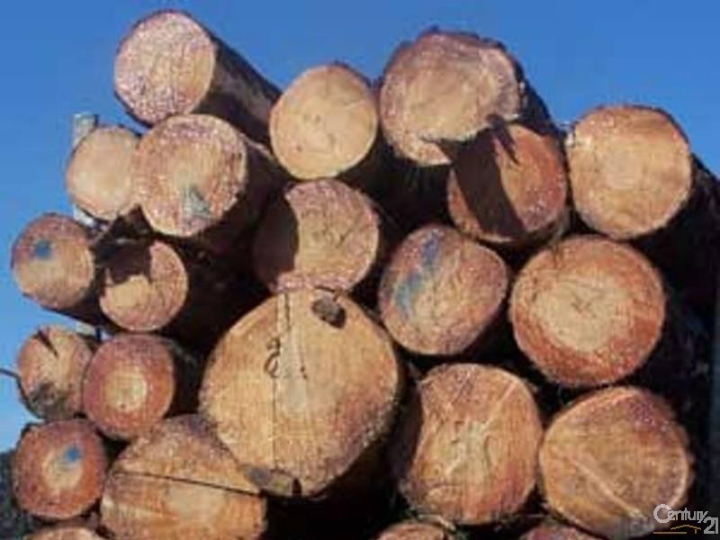 1646 Coaldale Road, Coaldale NSW 2460