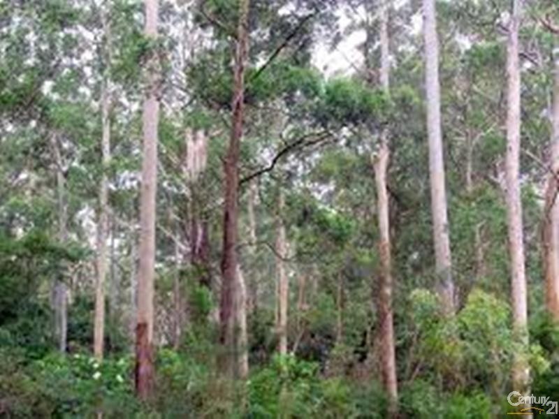 1646 Coaldale Road, Coaldale NSW 2460