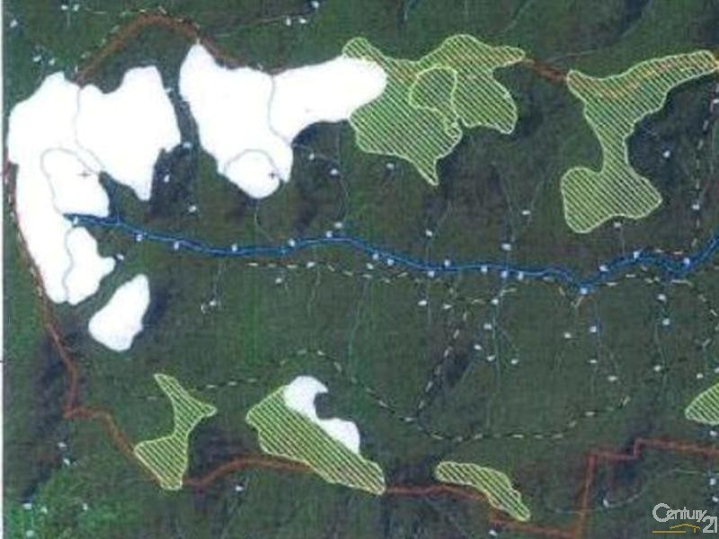 1646 Coaldale Road, Coaldale NSW 2460