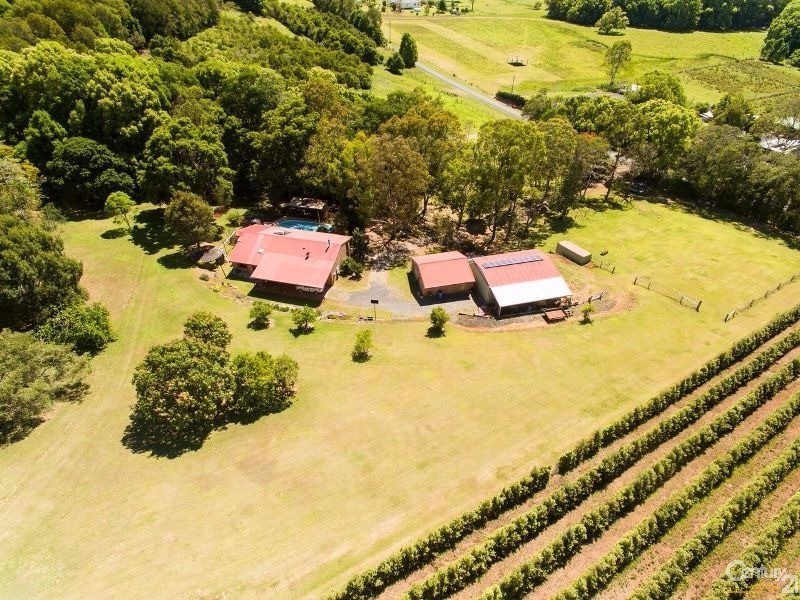 143 Bartletts Lane, Meerschaum Vale NSW 2477