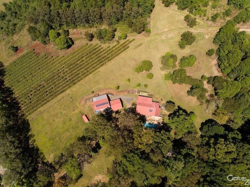 143 Bartletts Lane, Meerschaum Vale NSW 2477