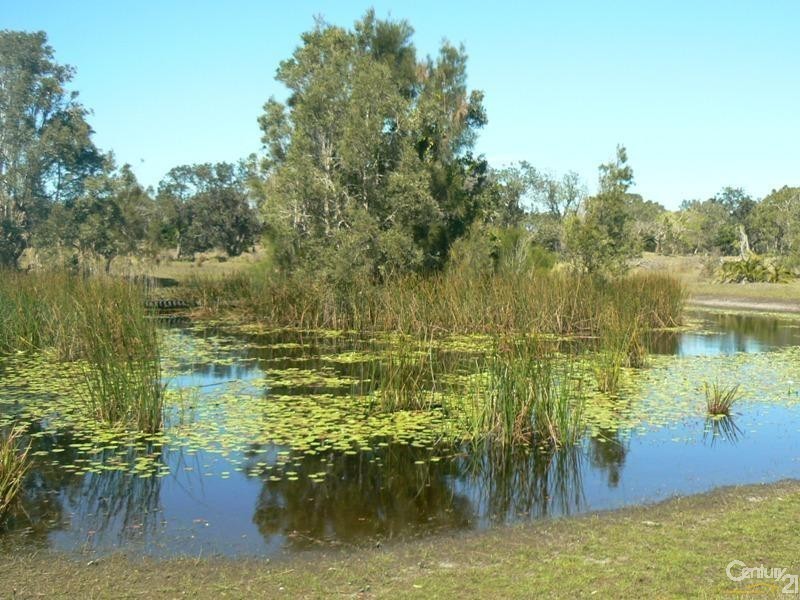 162 Patchs Beach Road, Patchs Beach NSW 2478