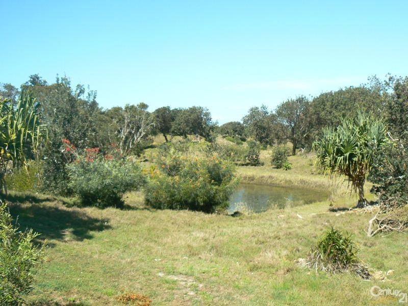 162 Patchs Beach Road, Patchs Beach NSW 2478