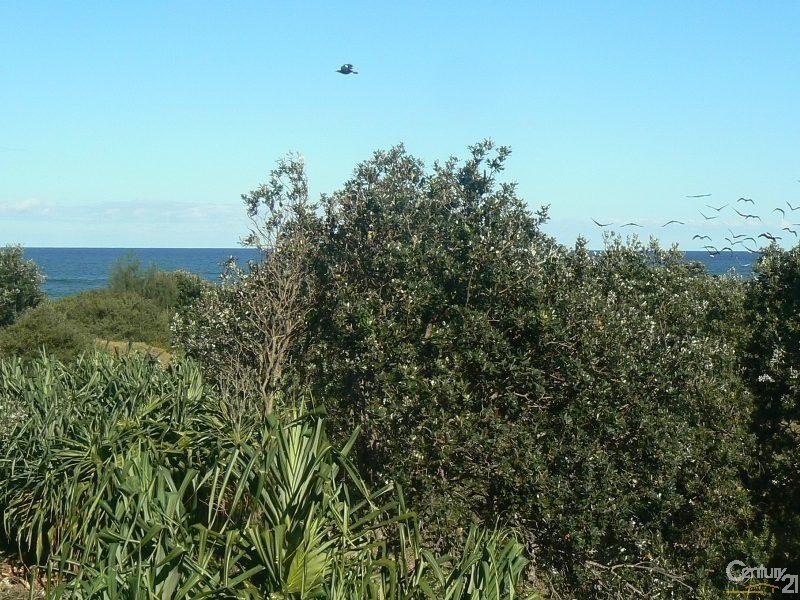 162 Patchs Beach Road, Patchs Beach NSW 2478