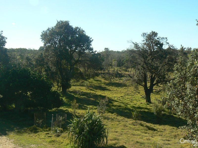 162 Patchs Beach Road, Patchs Beach NSW 2478