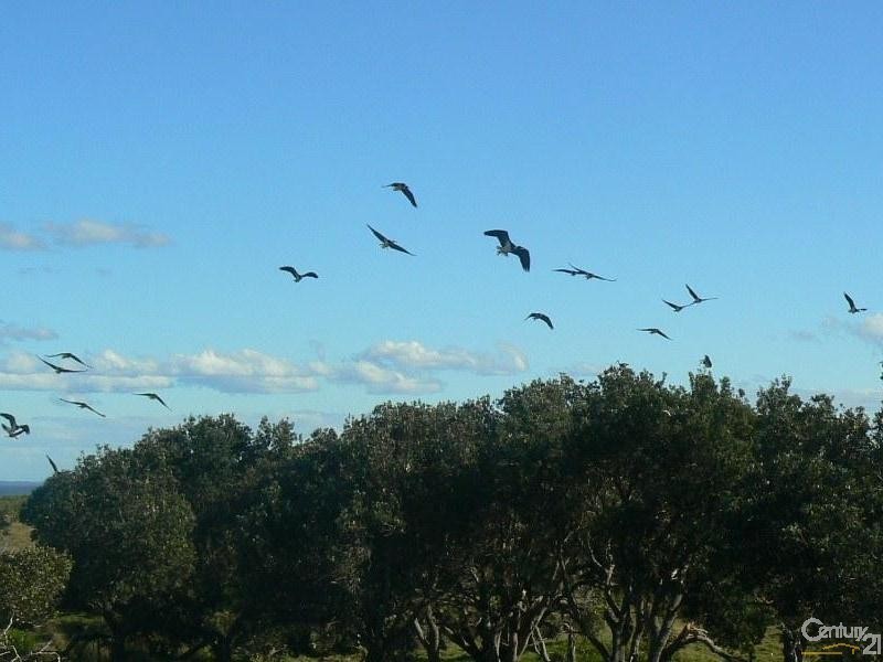 162 Patchs Beach Road, Patchs Beach NSW 2478