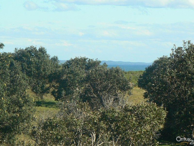 162 Patchs Beach Road, Patchs Beach NSW 2478