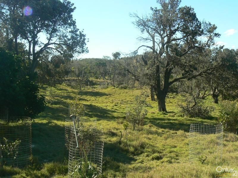 162 Patchs Beach Road, Patchs Beach NSW 2478