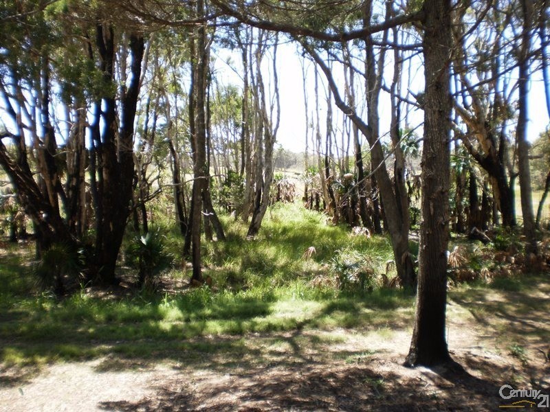 107 Boundary Creek Road, East Wardell NSW 2477