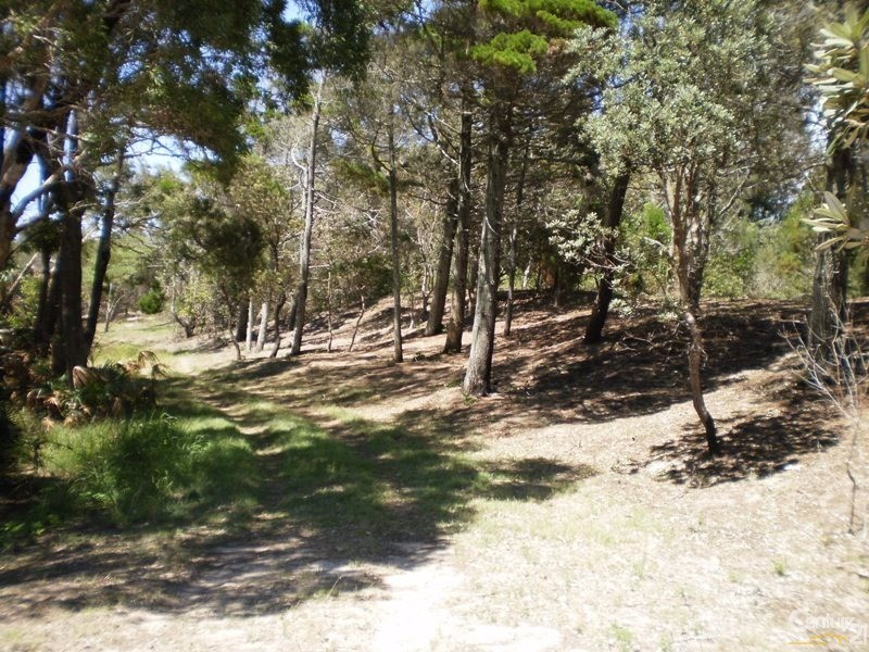 107 Boundary Creek Road, East Wardell NSW 2477