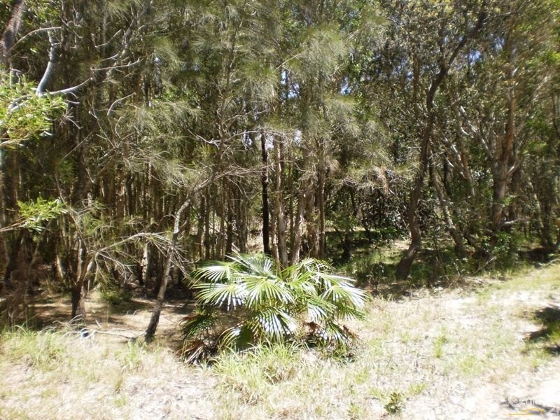 107 Boundary Creek Road, East Wardell NSW 2477