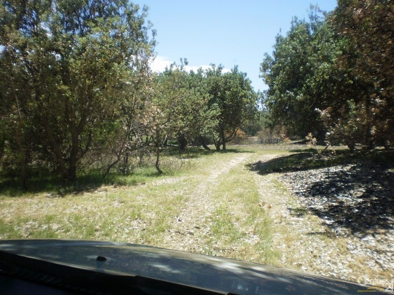 107 Boundary Creek Road, East Wardell NSW 2477