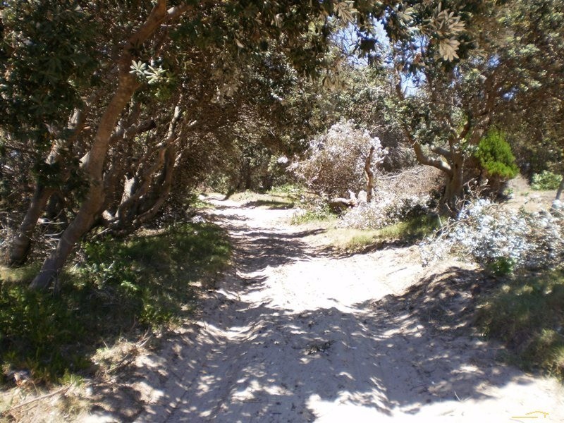 107 Boundary Creek Road, East Wardell NSW 2477