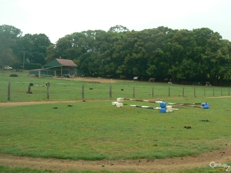 946 Friday Hut Road, Binna Burra NSW 2479