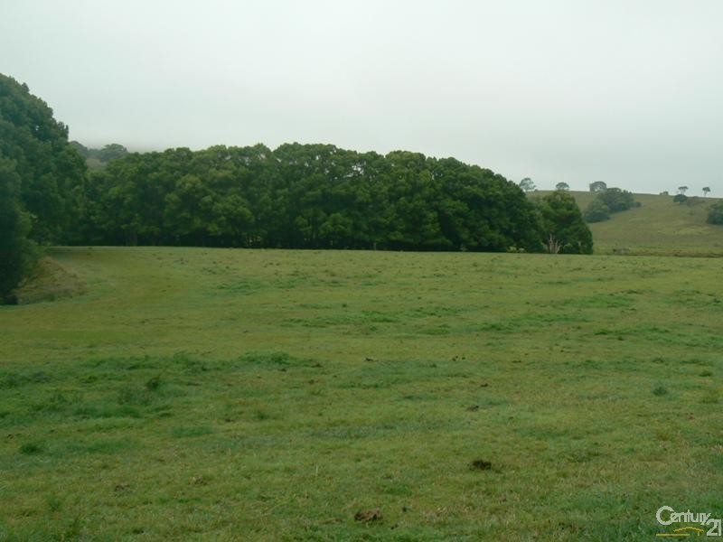 946 Friday Hut Road, Binna Burra NSW 2479
