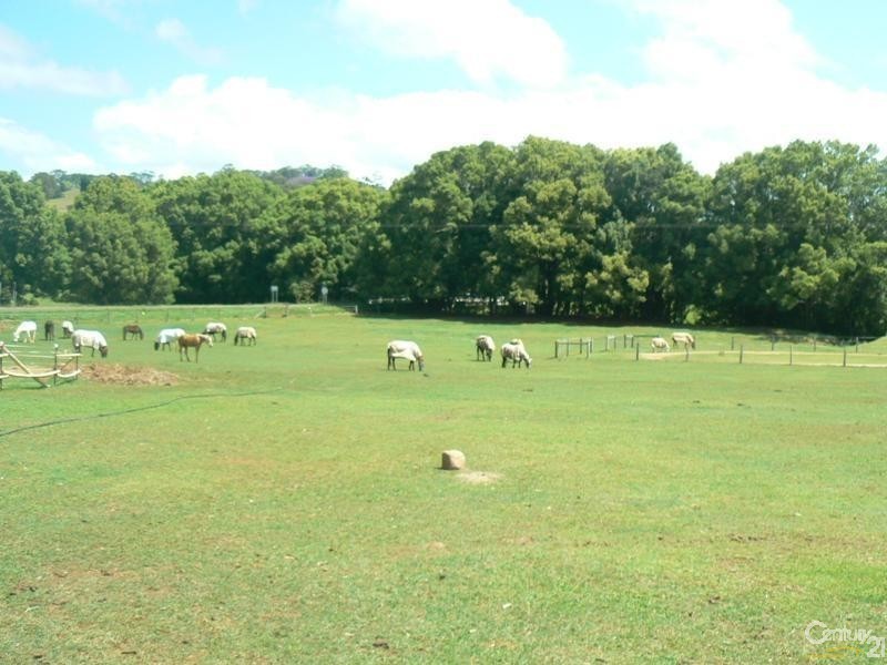 946 Friday Hut Road, Binna Burra NSW 2479