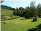 463 Tuntable Creek Road, The Channon NSW 2480