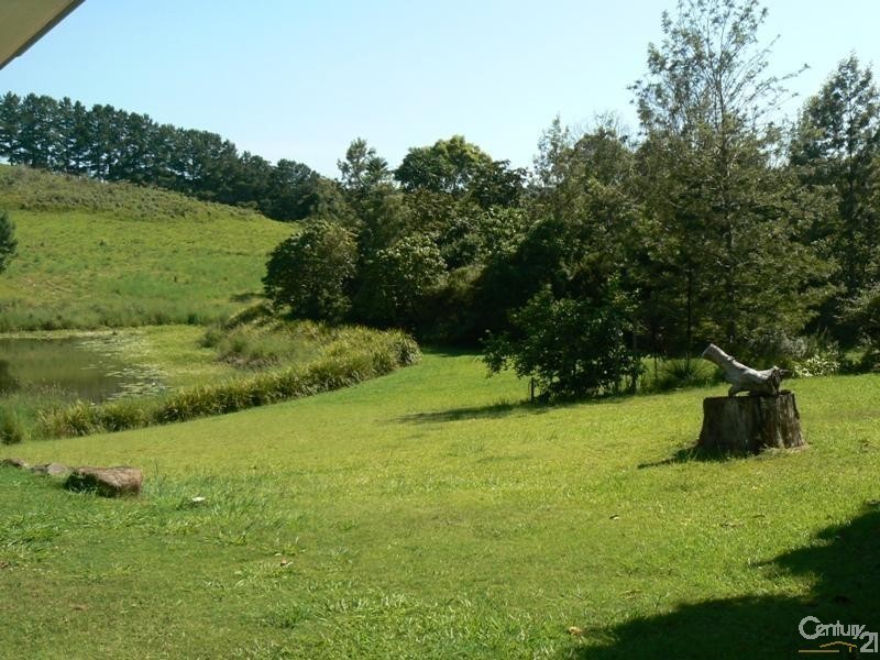 463 Tuntable Creek Road, The Channon NSW 2480