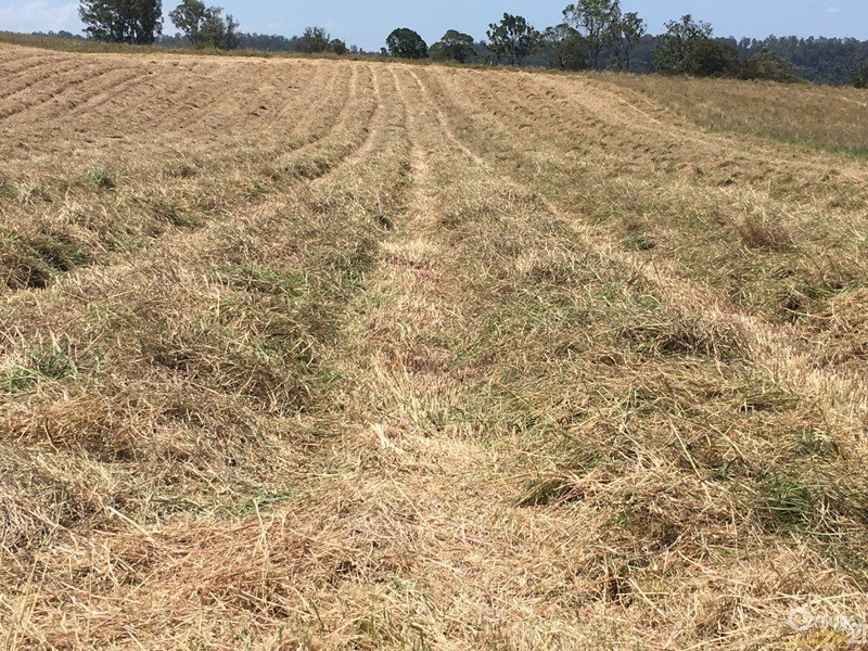 300 Clovass Road, Clovass NSW 2480