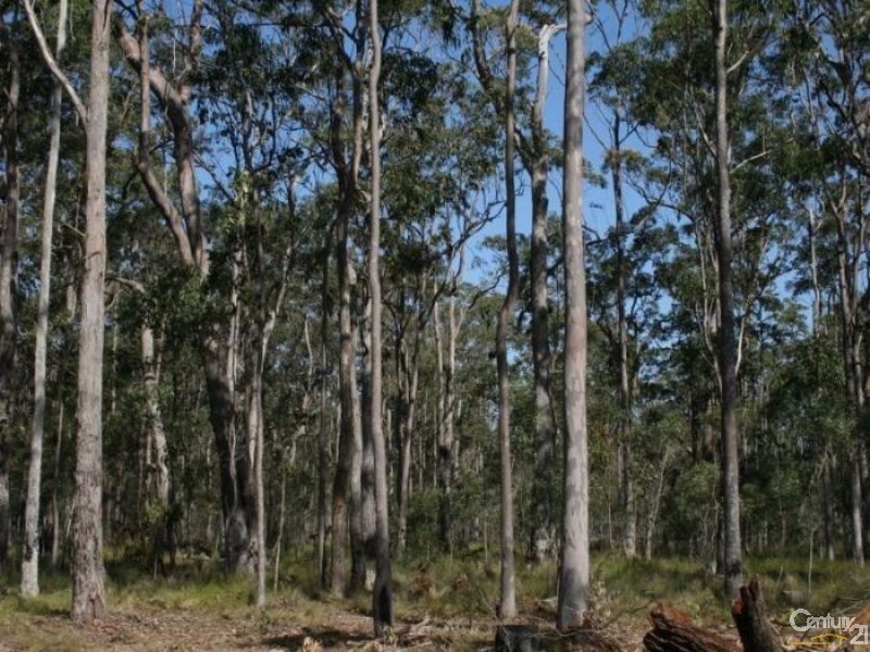 40  Serendipity Road (Lot 2/DP1213736, Tabbimoble NSW 2472