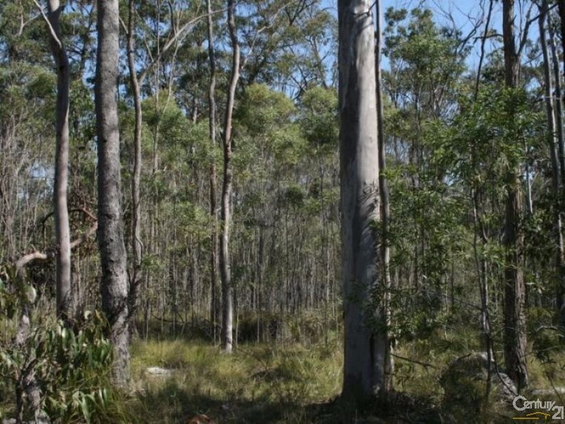 40  Serendipity Road (Lot 2/DP1213736, Tabbimoble NSW 2472