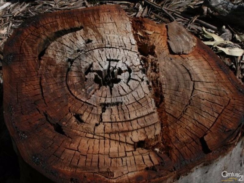 40  Serendipity Road (Lot 2/DP1213736, Tabbimoble NSW 2472