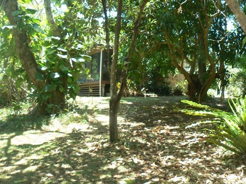 35  Bells Road, Rileys Hill NSW 2472