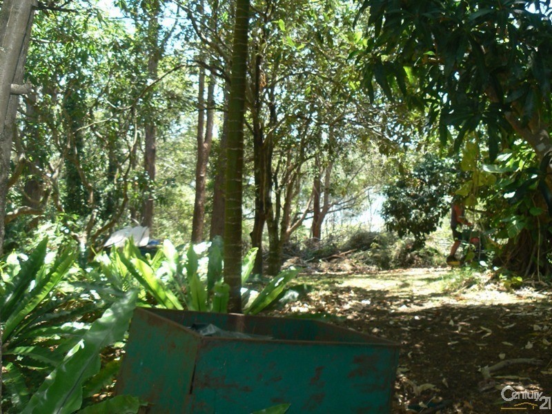 35  Bells Road, Rileys Hill NSW 2472