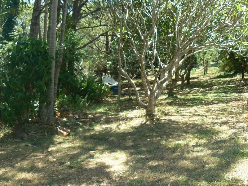 35  Bells Road, Rileys Hill NSW 2472