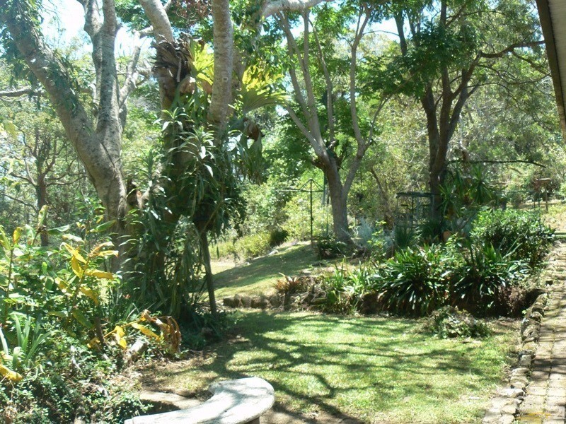 35  Bells Road, Rileys Hill NSW 2472