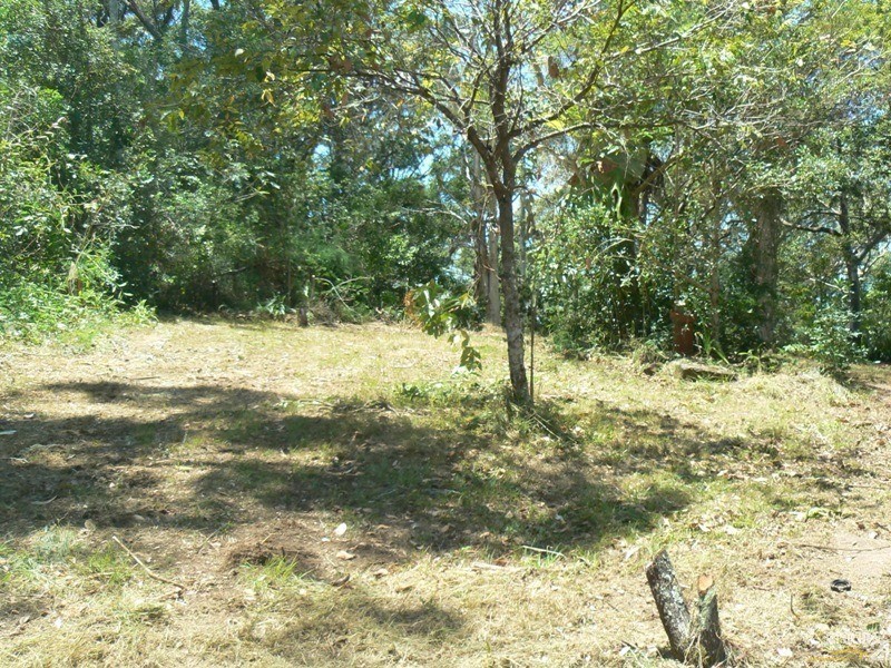 35  Bells Road, Rileys Hill NSW 2472