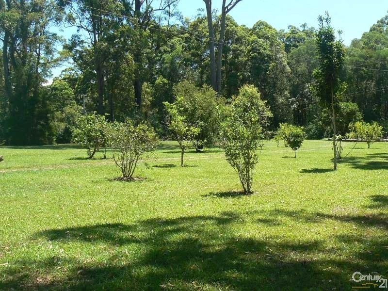 6 Nortons Road, New Italy NSW 2472