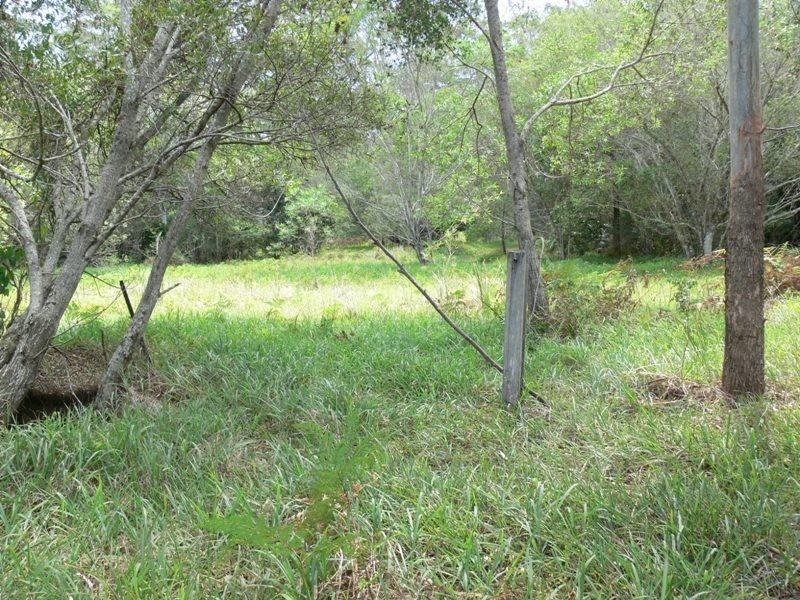 575 Bagotville Road, Meerschaum Vale NSW 2477