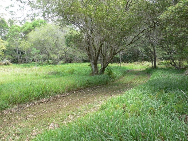 575 Bagotville Road, Meerschaum Vale NSW 2477