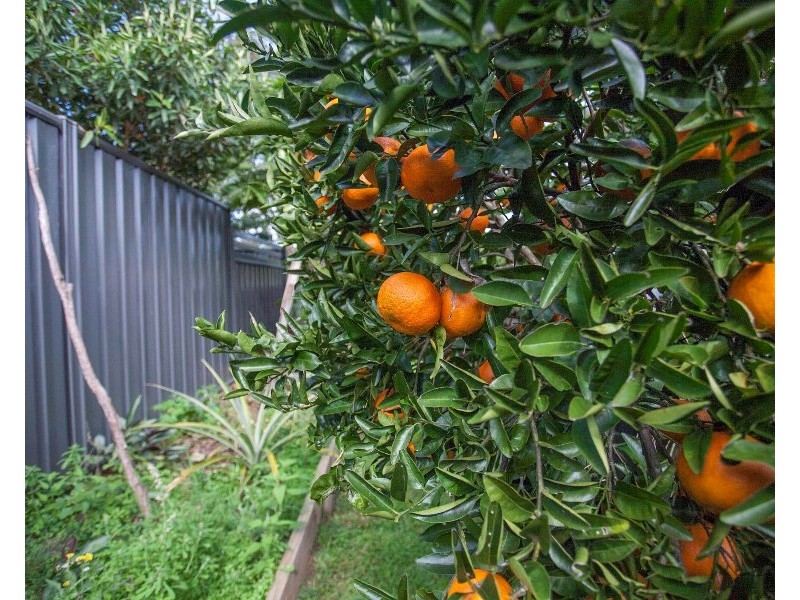 18 Tanamera Drive, Alstonville NSW 2477