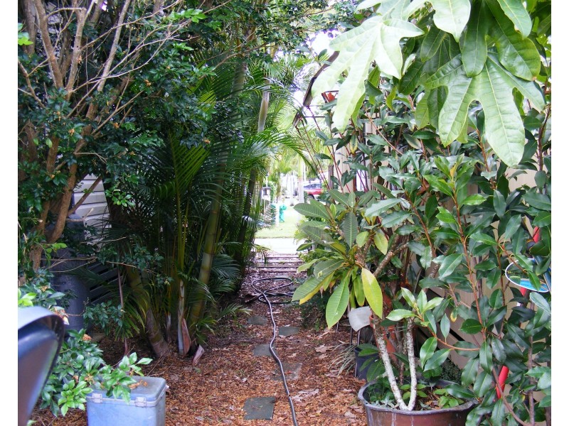 19/35 Skennars Head Road, Skennars Head NSW 2478