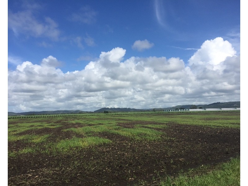 10  Sneesbys Lane, East Wardell NSW 2477